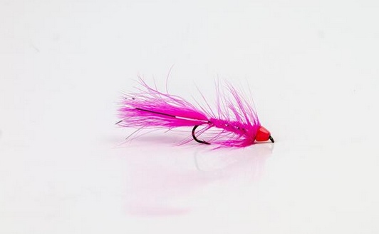 Wolly Bugger Cone Pink size 8 i gruppen Fiskedrag hos Fishline (HF1227-8)
