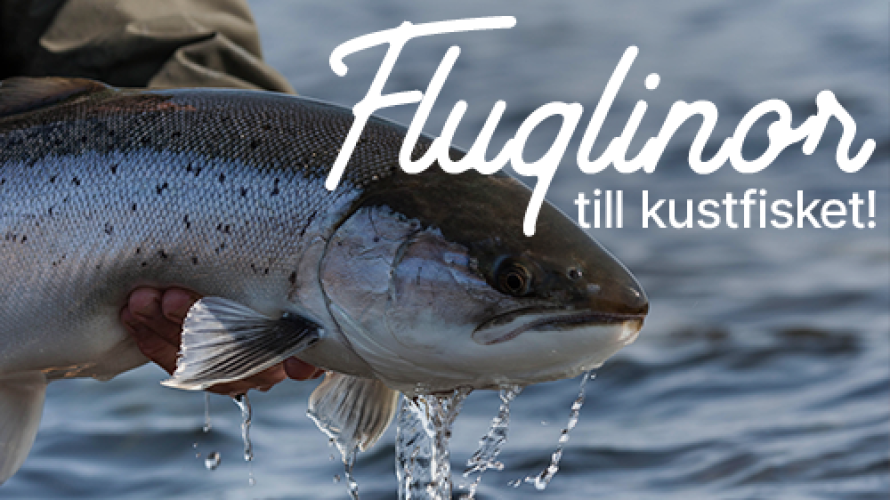 Fluglinor till kustfisket!