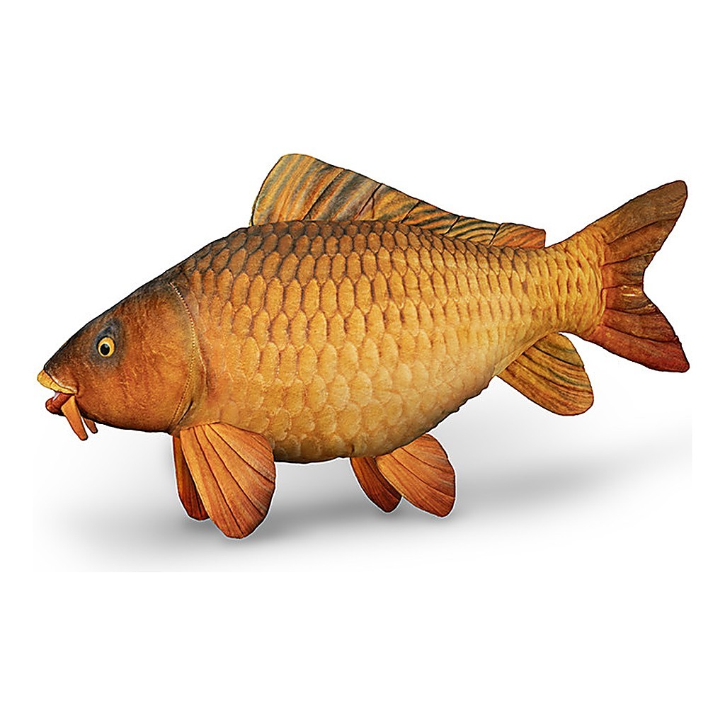Delphin Plush Carp - 60 cm i gruppen Övrigt / Mjukisfiskar & Troféfiskar hos Fishline (101006075)