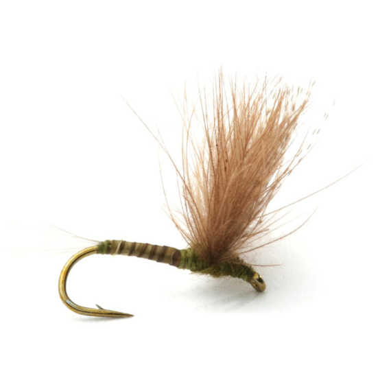 Guideline CDC Biot Comparadun Olive i gruppen Fiskedrag / Flugor / Torrflugor hos Fishline (101132GLr)