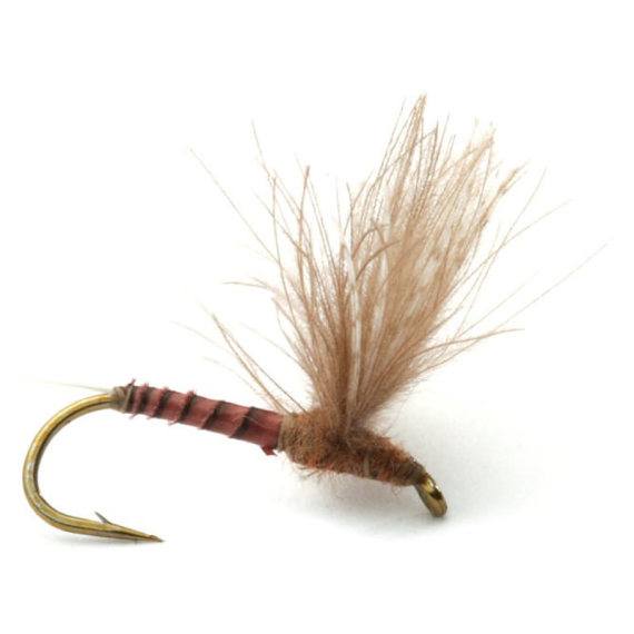 Guideline CDC Biot Comparadun Quill G #16 i gruppen Fiskedrag / Flugor / Torrflugor hos Fishline (101137GL)