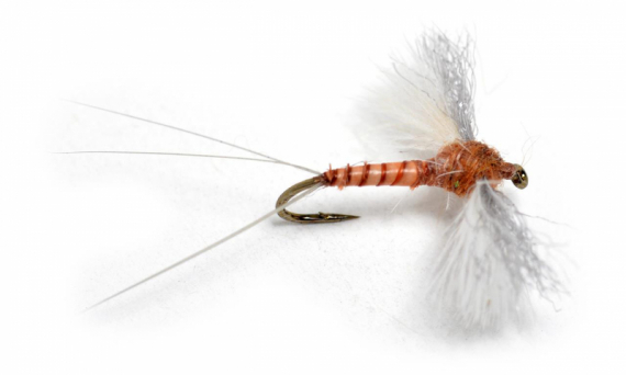 CDC Biot Spinner Rusty i gruppen Fiskedrag / Flugor / Torrflugor hos Fishline (101140GLr)