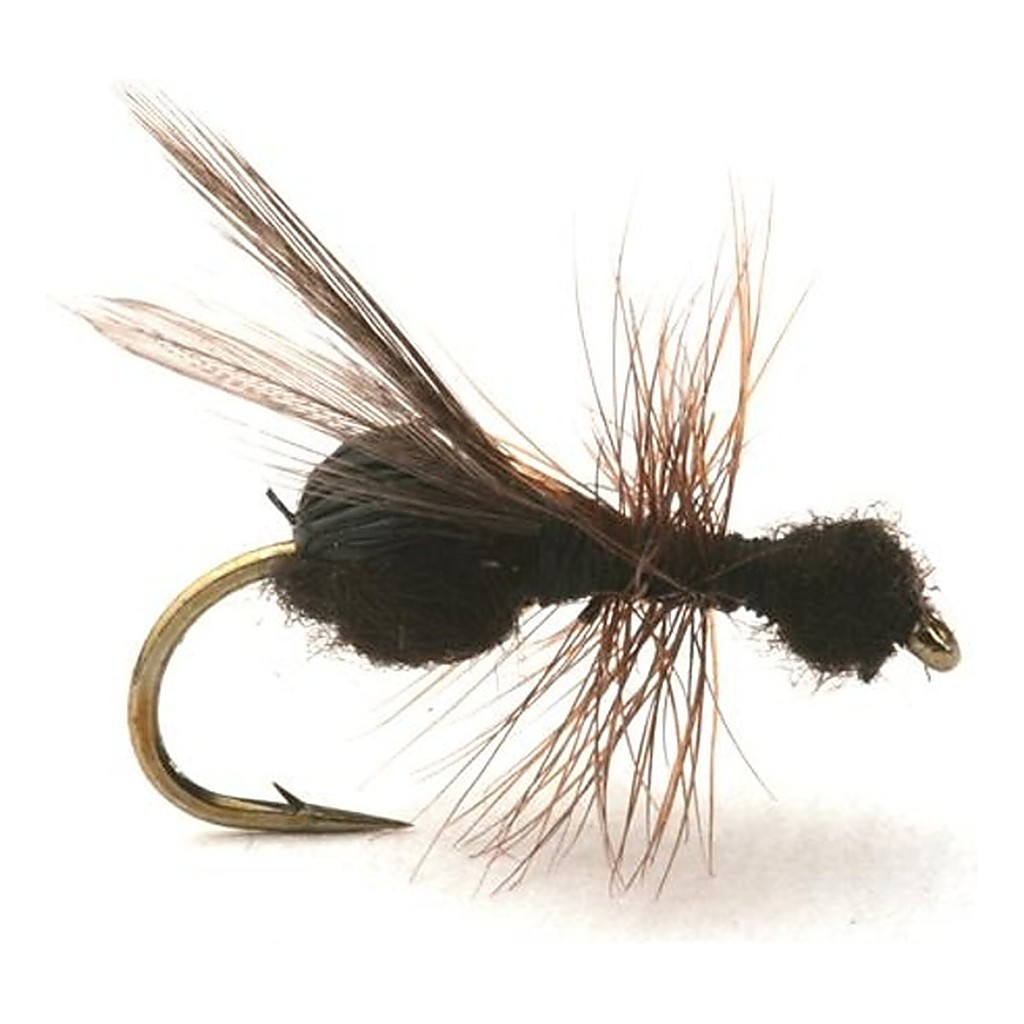 Guideline Flying Ant / Myra Black # 12 i gruppen Fiskedrag / Flugor / Torrflugor hos Fishline (101213GL)