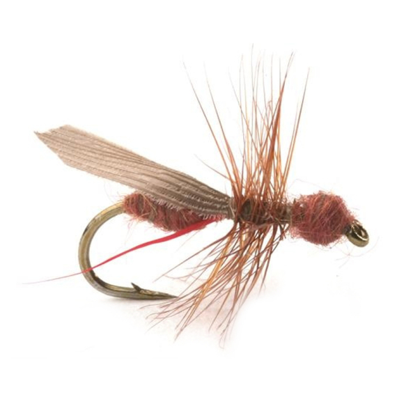 Guideline Flying Ant / Myra Cinnamon # 12 i gruppen Fiskedrag / Flugor / Torrflugor hos Fishline (101216GL)
