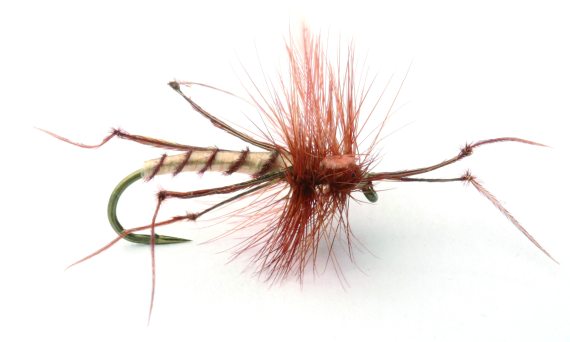 Daddy Long Legs Tørr - 10 i gruppen Fiskedrag / Flugor / Torrflugor hos Fishline (101229GL)