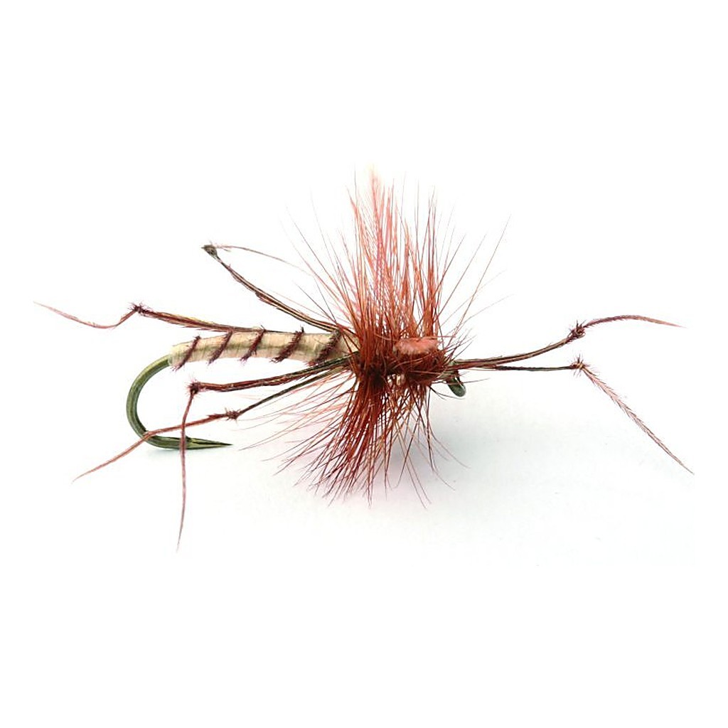 Daddy Long Legs Tørr - 10 i gruppen Fiskedrag / Flugor / Torrflugor hos Fishline (101229GL)