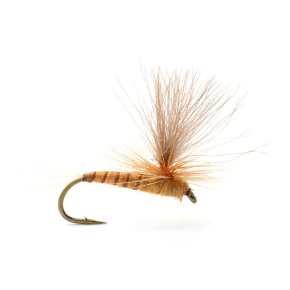 Guideline Aurivillii i gruppen Fiskedrag / Flugor / Torrflugor hos Fishline (101389GLr)