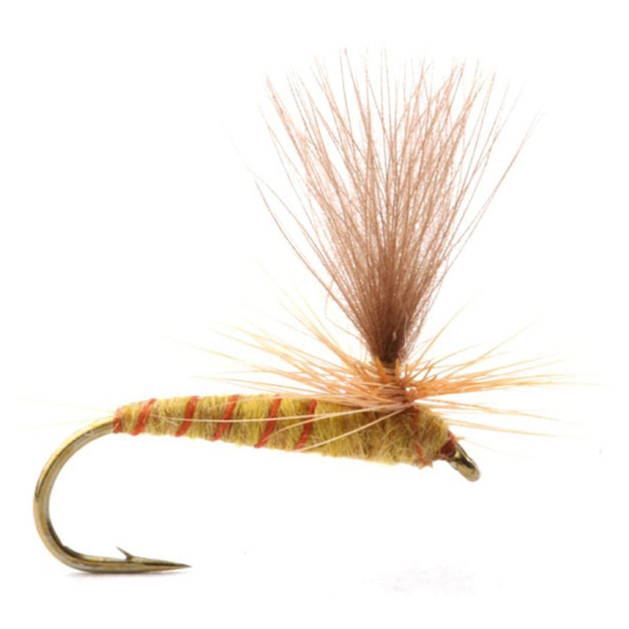 Guideline Ignita i gruppen Fiskedrag / Flugor / Torrflugor hos Fishline (101392GLr)