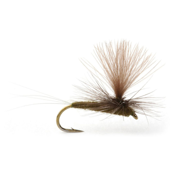 Baetis Dark Olive - 14 i gruppen Fiskedrag / Flugor / Torrflugor hos Fishline (101394GL)