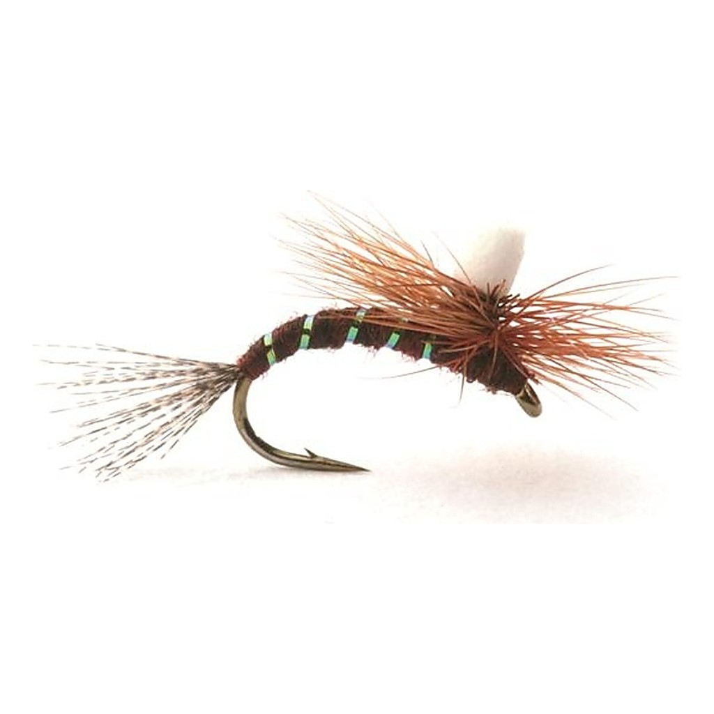 Guideline Ephemerella Klekker # 16 i gruppen Fiskedrag / Flugor / Torrflugor hos Fishline (101476GL)