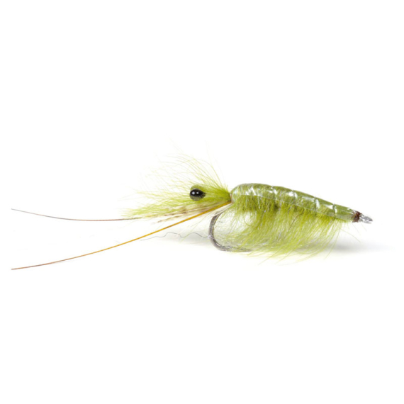Olive CDC Shrimp #6 i gruppen Fiskedrag / Flugor / Streamers hos Fishline (101583GL)