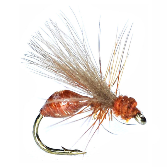 RS Glue Ant Rusty Brown #14 i gruppen Fiskedrag / Flugor / Torrflugor hos Fishline (104794GL)