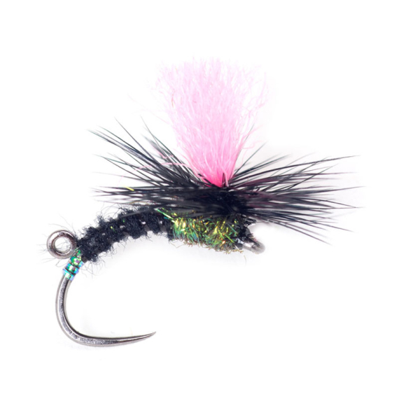 Guideline Indi Black Klink #12 i gruppen Fiskedrag / Flugor / Torrflugor hos Fishline (107101GL)