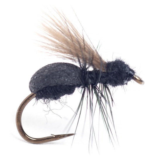 Guideline Lasius Flying Ant #14 i gruppen Fiskedrag / Flugor / Torrflugor hos Fishline (107164GL)