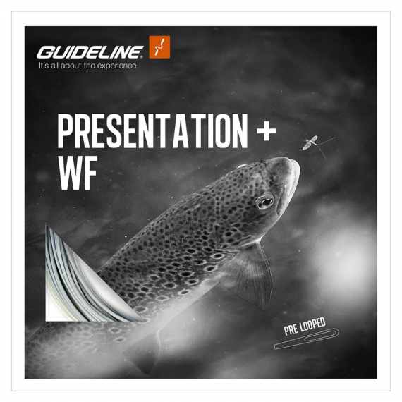 Guideline Presentation+ WF i gruppen Fiskelinor / Flugfiskelinor / Enhandslinor hos Fishline (107188GLr)