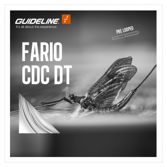 Guideline Fario CDC DT i gruppen Fiskelinor / Flugfiskelinor / Enhandslinor hos Fishline (107438GLr)