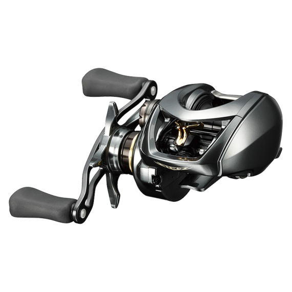 Daiwa STEEZ CT SV TW 700 i gruppen Fiskerullar / Multirullar / Lågprofilrullar hos Fishline (211533r)