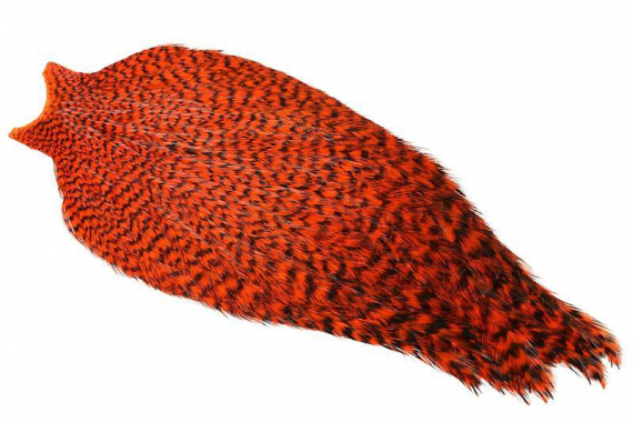 Whiting Freshwater Streamer Cape - Grizzly dyed Orange i gruppen Krok & Småplock / Flugbindning / Flugbindningsmaterial / Fjädrar & Nackar / Hackel hos Fishline (21801151)