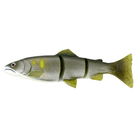 Savage Gear 3D Line Thru Trout 25cm i gruppen Fiskedrag / Swimbaits / Mjuka Swimbaits hos Fishline (55107r)