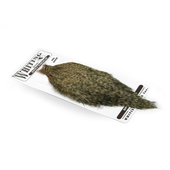Whiting Spey Hackles Pro Grade Cape - GD/Salmon i gruppen Krok & Småplock / Flugbindning / Flugbindningsmaterial / Fjädrar & Nackar / Nackar & Sadlar hos Fishline (65501102)