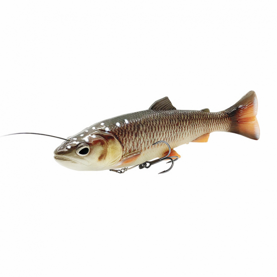 Savage Gear 4D Line Thru Pulsetail Trout 25cm 185g i gruppen Fiskedrag / Swimbaits / Mjuka Swimbaits hos Fishline (82435r)