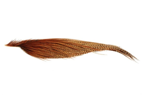 Whiting Bronze 1/2 Dry Fly Hackle Barred Dark Ginger i gruppen Krok & Småplock / Flugbindning / Flugbindningsmaterial / Fjädrar & Nackar / Hackel hos Fishline (91341016)