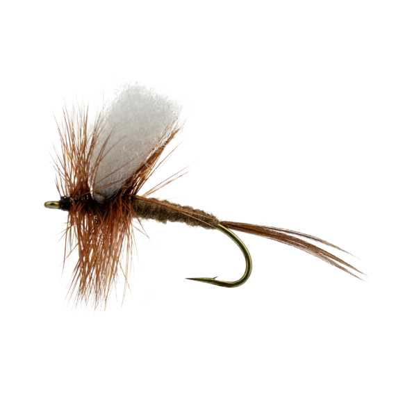 Rocken # 8 i gruppen Fiskedrag / Flugor / Torrflugor hos Fishline (F30-1051-8)