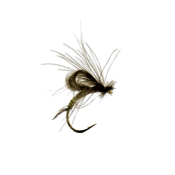 Baetis Emerger Olive Biot i gruppen Fiskedrag / Flugor / Torrflugor hos Fishline (F30-1070-13r)