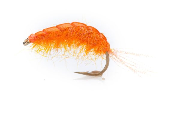 Tangloppen Orange TMC 2457 #6 i gruppen Fiskedrag / Flugor / Kustflugor hos Fishline (FL00504)