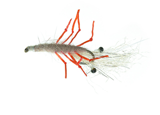 Honey Shrimp Hot Leg Daiichi 1710 #6 i gruppen Fiskedrag / Flugor / Kustflugor hos Fishline (FL12026)