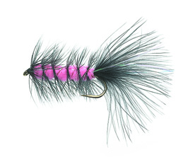 Flash a\' Bugger Fluo Pink Daiichi 2220 #8 i gruppen Fiskedrag / Flugor / Streamers hos Fishline (FL20018)