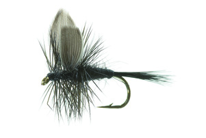 Black Gnat Black TMC 100 #12 i gruppen Fiskedrag / Flugor / Torrflugor hos Fishline (FL42006)