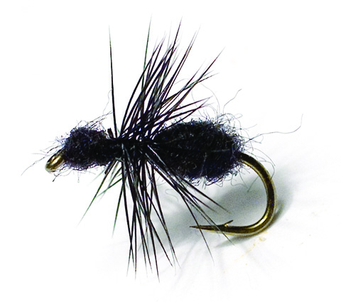 Black Ant Black TMC 100 #16 i gruppen Fiskedrag / Flugor / Torrflugor hos Fishline (FL44021)