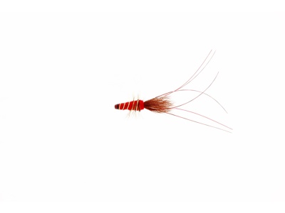 Red Frances Tube 13mm i gruppen Fiskedrag / Flugor / Tubflugor hos Fishline (FL97101)
