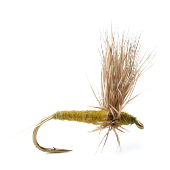 Comparadun Bwo Døgnflue Tørr i gruppen Fiskedrag / Flugor / Torrflugor hos Fishline (GL45661r)