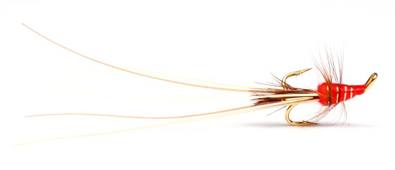 Red Frances Golden i gruppen Fiskedrag / Flugor / Laxflugor hos Fishline (GL49601r)