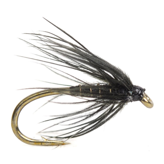 Black Spider # 14 i gruppen Fiskedrag / Flugor / Nymfer hos Fishline (HF0070-14)