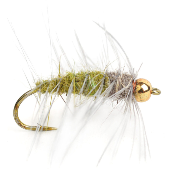 Goldhead Superpuppa Olive size 12 i gruppen Fiskedrag / Flugor / Nymfer hos Fishline (HF0078-12)