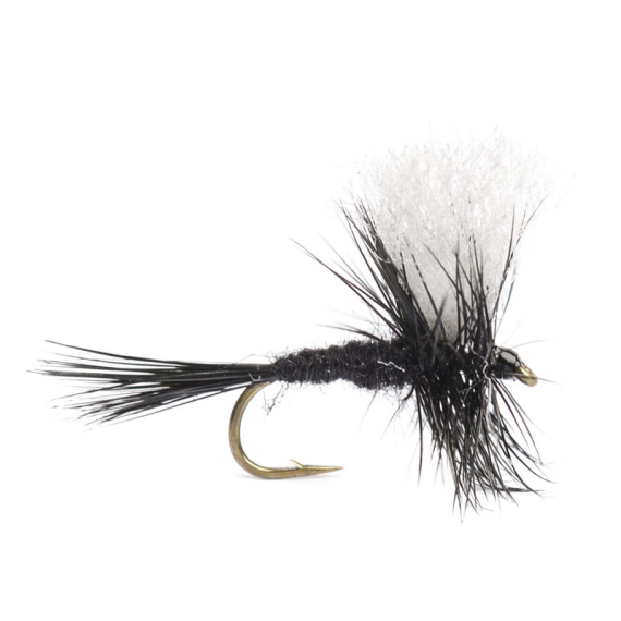 Black Gnat # 14 i gruppen Fiskedrag / Flugor / Torrflugor hos Fishline (HF0087-14)