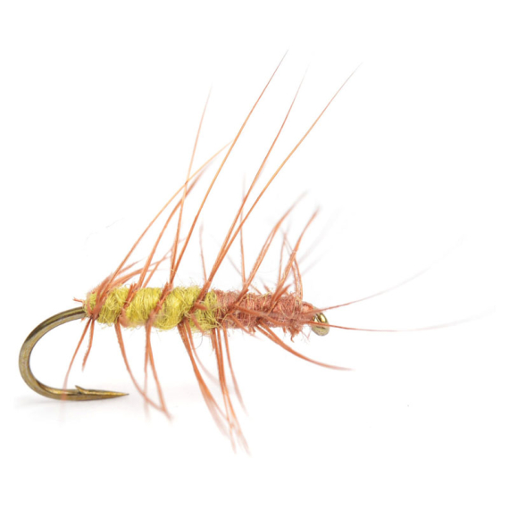 Superpuppa Olive/Rust size 12 i gruppen Fiskedrag / Flugor / Torrflugor hos Fishline (HF0143-12)