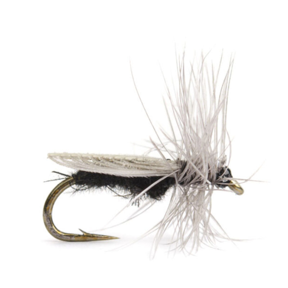 Diptera size 14 i gruppen Fiskedrag / Flugor / Torrflugor hos Fishline (HF1123-14)