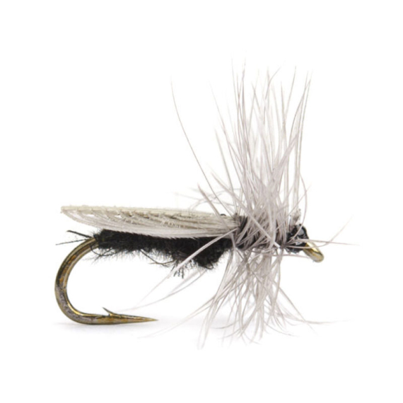 Diptera size 18 i gruppen Fiskedrag / Flugor / Torrflugor hos Fishline (HF1123-18)