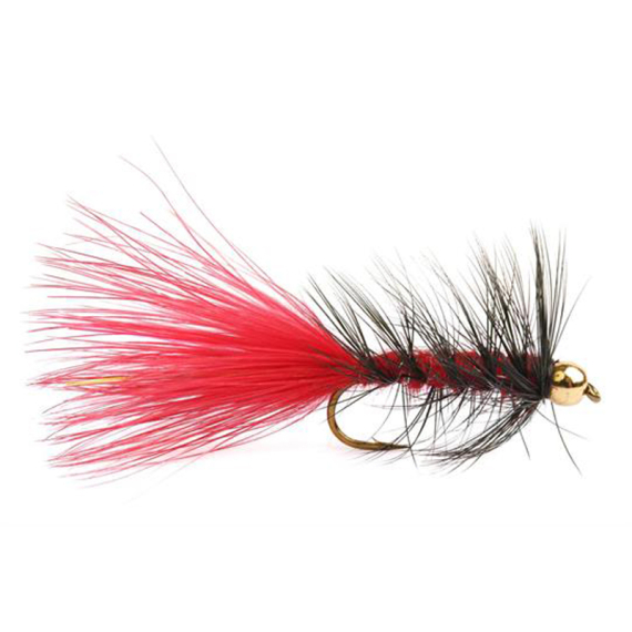 Wolly Bugger Gold Head Red Black size 8 i gruppen Fiskedrag / Flugor / Streamers hos Fishline (HF1231-8)