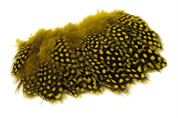 Strung Guinea Feathers - Yellow #383 i gruppen Krok & Småplock / Flugbindning / Flugbindningsmaterial / Fjädrar & Nackar / Hackel hos Fishline (HL-SGF383)