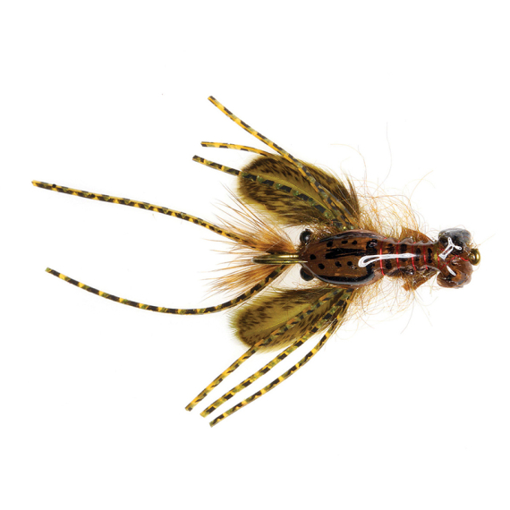 Umpqua Creek Crawler Olive #4 Hada\'s i gruppen Fiskedrag / Flugor / Streamers hos Fishline (NFD9656-OL4)