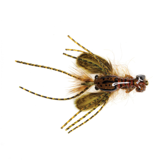 Umpqua Creek Crawler Tan #4 Hada\'s i gruppen Fiskedrag / Flugor / Streamers hos Fishline (NFD9656-T4)