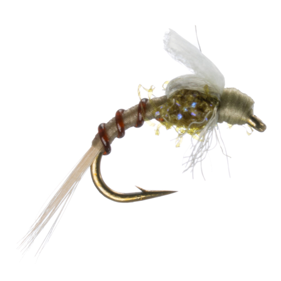 Umpqua Graveyard Baetis Wood i gruppen Fiskedrag / Flugor / Nymfer hos Fishline (NFD9824-18r)