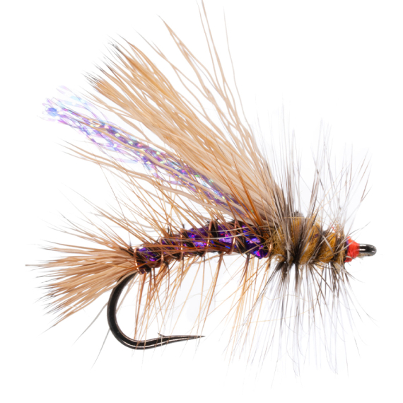 Umpqua Naked Stimulator Kaufmann Purple - #10 i gruppen Fiskedrag / Flugor / Torrflugor hos Fishline (NFD9827--Purple)