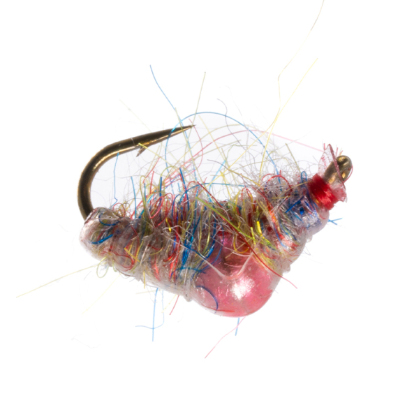 Umpqua Scud Bomb Mylant Rainbow i gruppen Fiskedrag / Flugor / Nymfer hos Fishline (NFD9832-Rainbow12r)