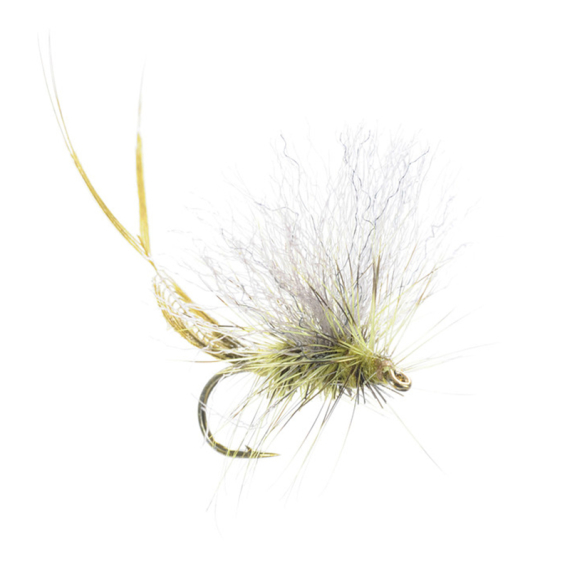 Umpqua Extended Body Brown Drake - #10 i gruppen Fiskedrag / Flugor / Torrflugor hos Fishline (NFD9838-Brown10)